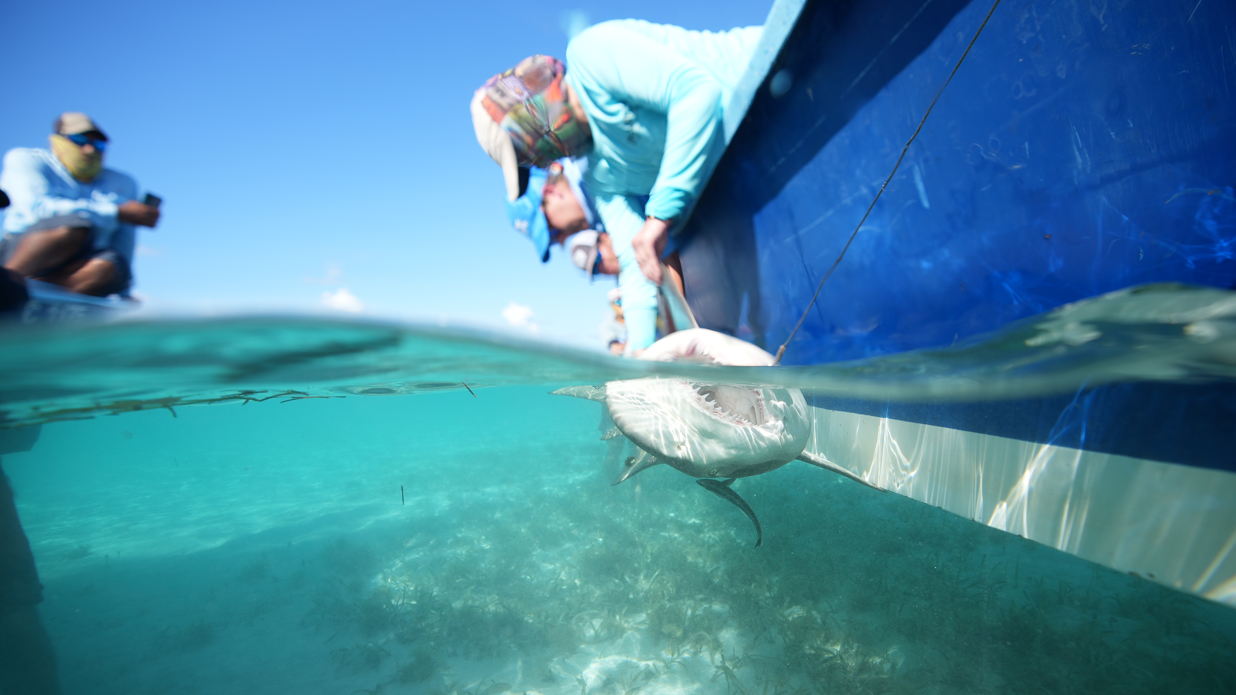 Check out Changing Seas Season 15 airing on a public television station near you!